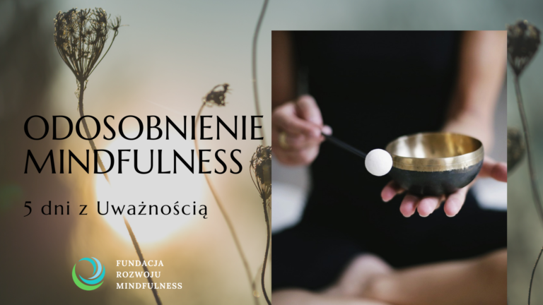 Cisza z mindfulness – odosobnienie medytacyjne Leśniczówka Gaja -luty 2024